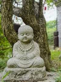 千年古韻，漫步梅花洲。