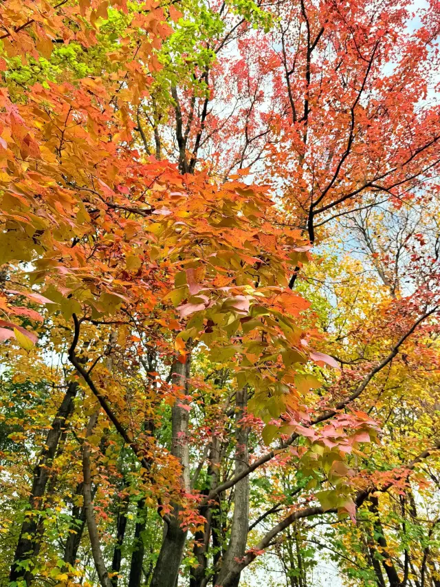 Hey girls! There's an amazing place that I must recommend to you! 