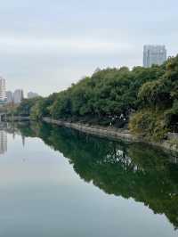 南昌人民公園。