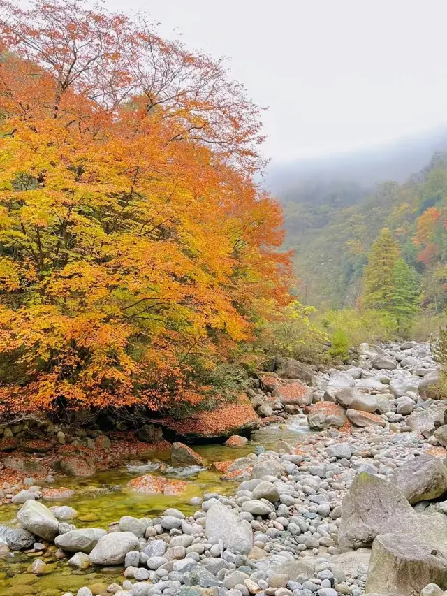 2-Day Guangyuan-Mianyang Tour: No More Planning, Just Read This!
