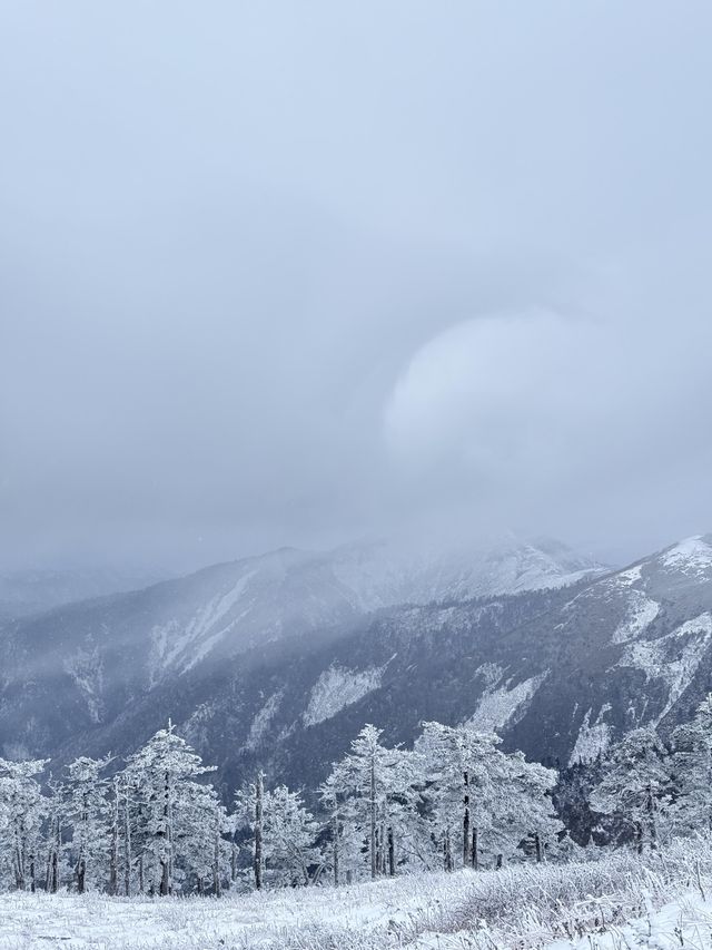 西安秦嶺東梁|雪後的東梁，如她的名字一樣別緻。