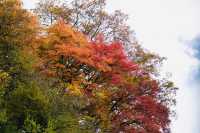 四川小眾紅葉秘境一藏在山裡的扒昔加古寨。