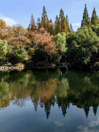 長風公園秋景。