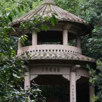 鹿寨香橋岩溶奇觀自然景觀