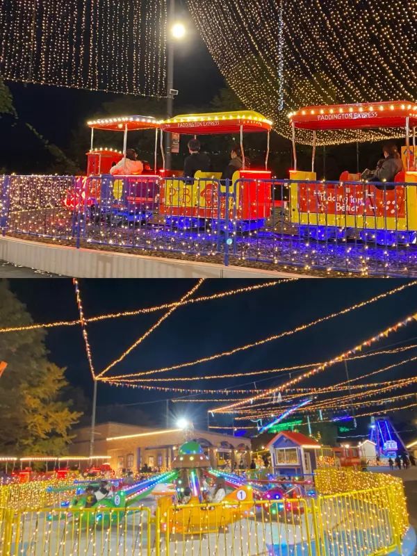Sagamiko Illumination: A Must-Visit Family Destination