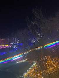 Visited the Sagamiko Light Show!!