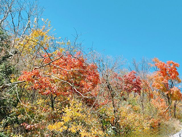 龍頭山風景區