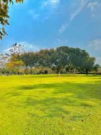 我宣布！這裡是武漢秋天最美的公園！