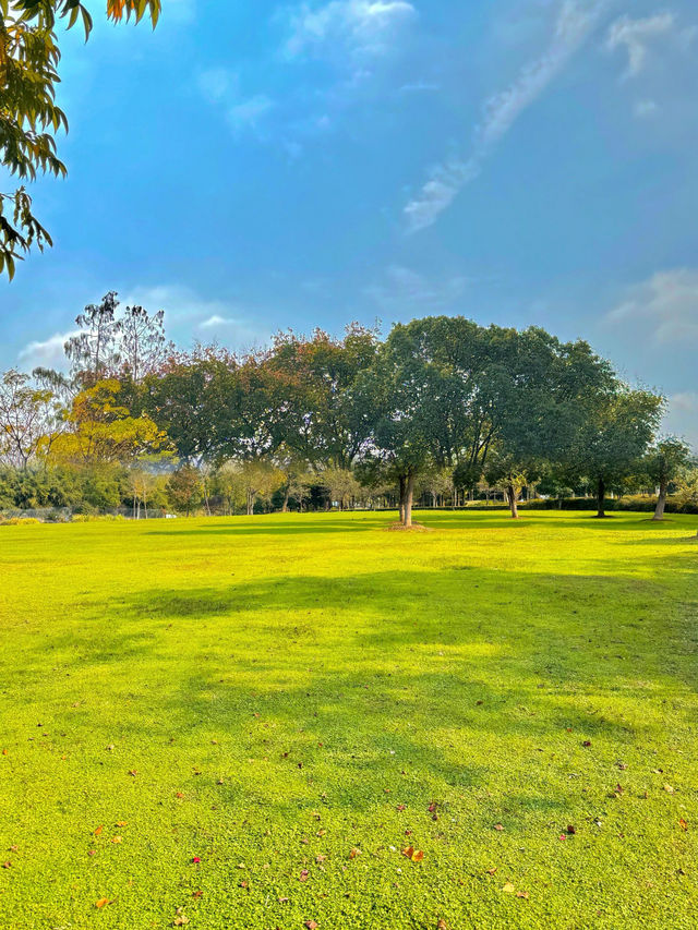 我宣布！這裡是武漢秋天最美的公園！