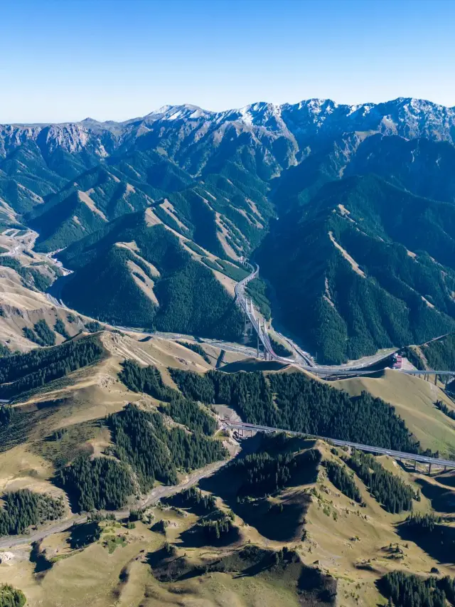 Winter Travel in Northern Xinjiang - Yili: A Detailed Guide to the Snowy Wonderland