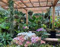 亞特蘭大植物園：一場自然與奇幻的邂逅