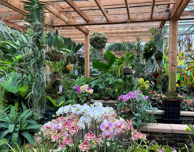 亞特蘭大植物園：一場自然與奇幻的邂逅