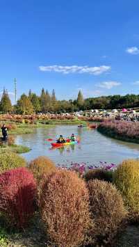 遊上海：花開海上生態園