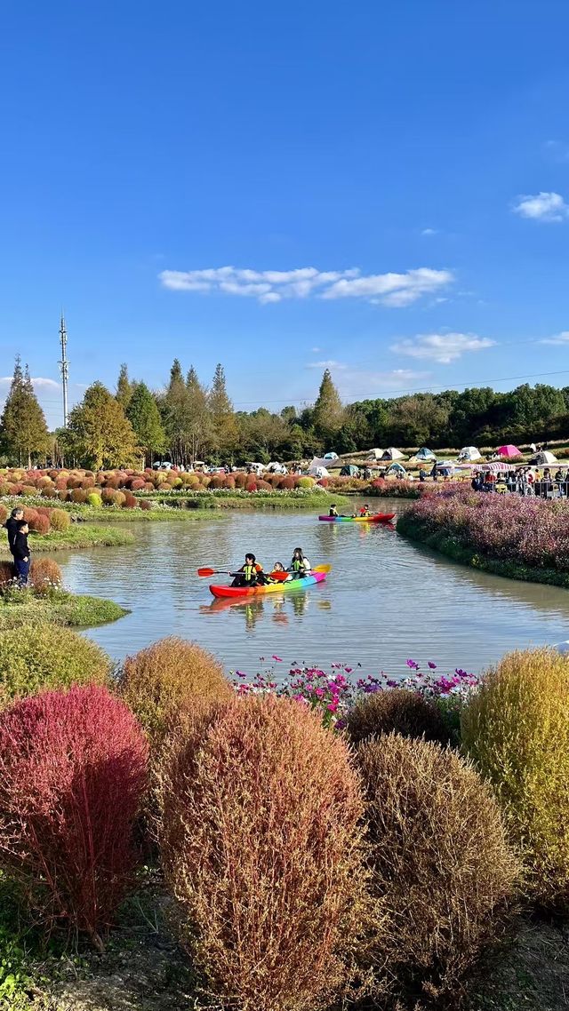 遊上海：花開海上生態園