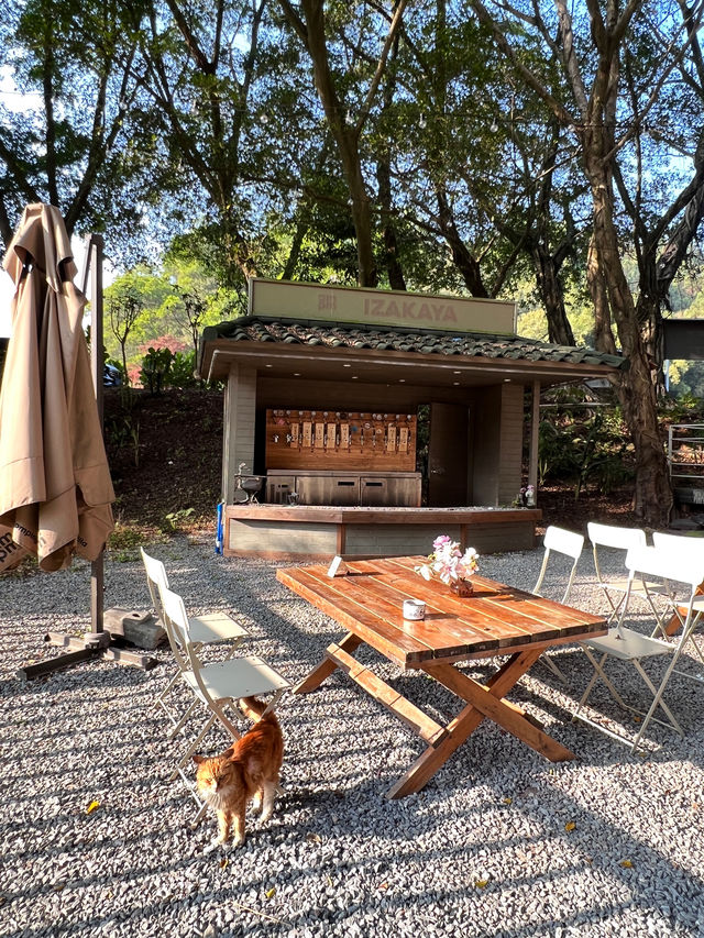 露營好去處！今晚就在廣州露營吧！
