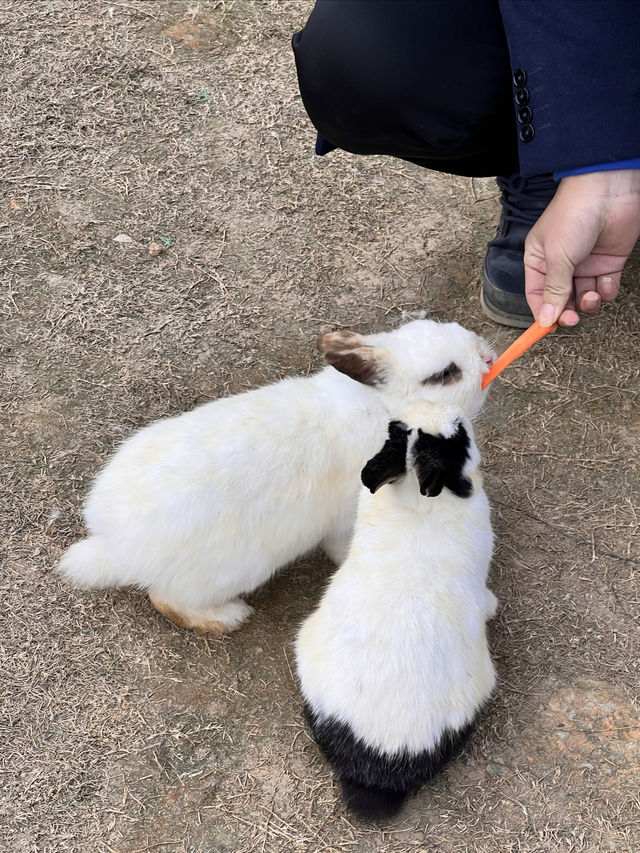 南昌附近，親子遊玩好去處