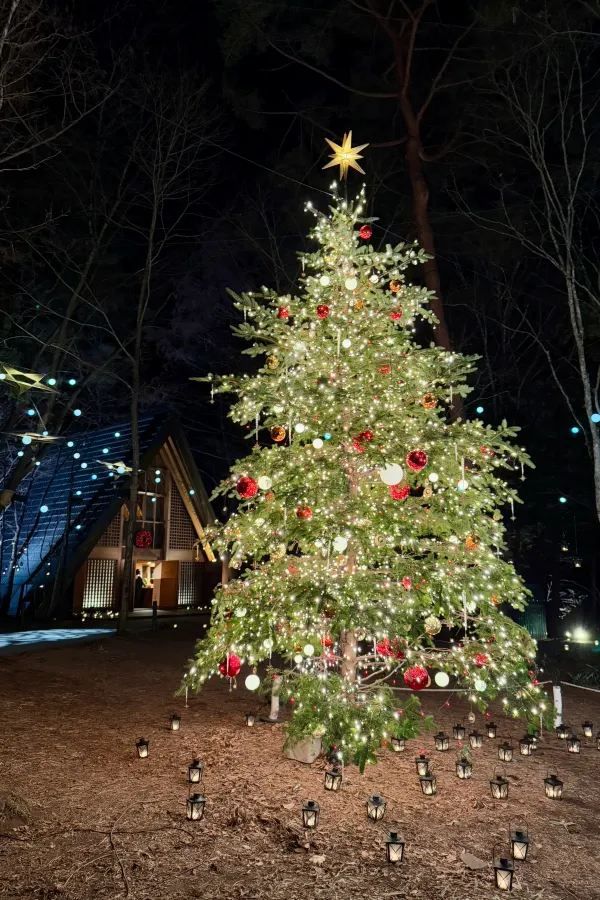 Experience a Magical Christmas at Karuizawa Highland Church in 2024
