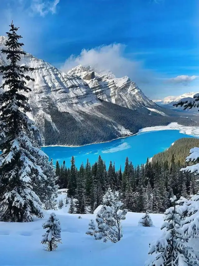 8-Day Cross-Canada and Multi-Country Itinerary