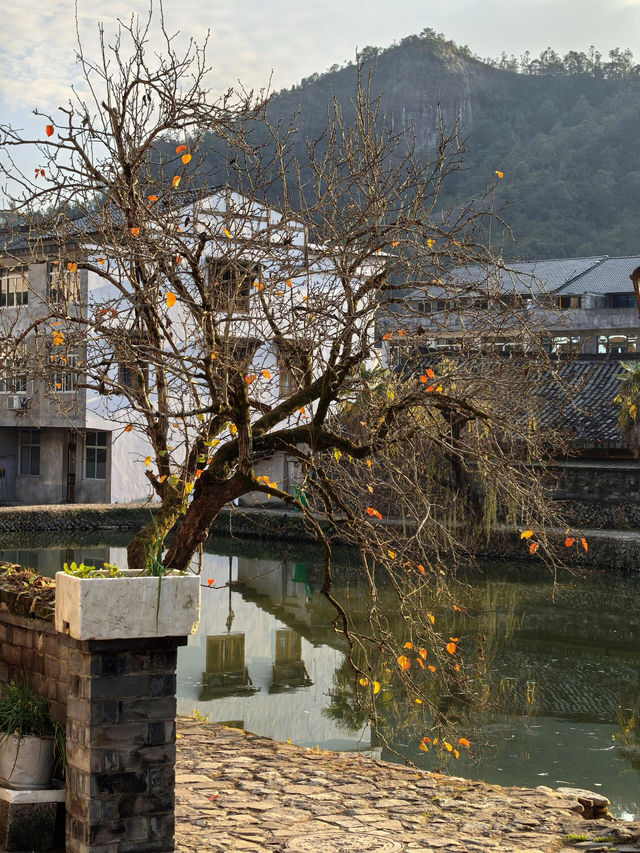 溫州永嘉埭頭古村 ———山水有相逢！