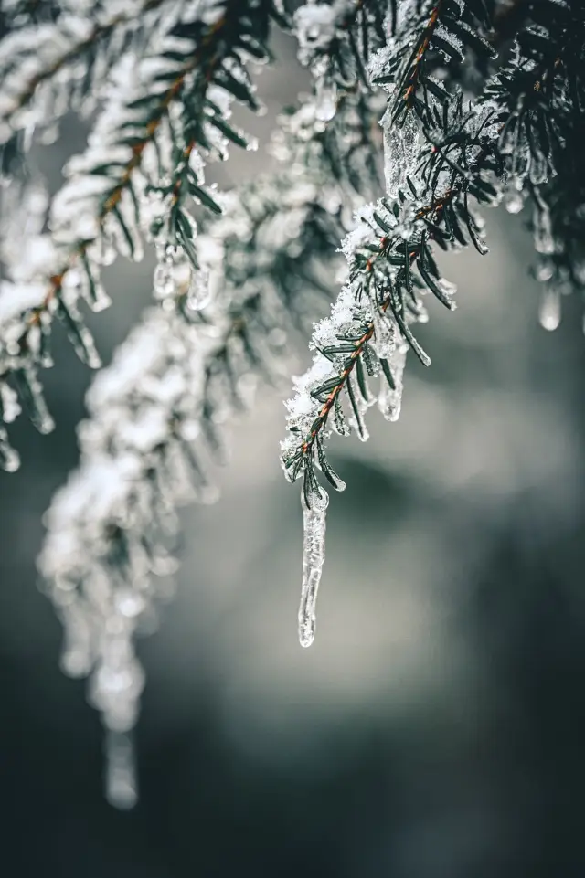 The Bashan Grand Canyon in winter is an absolute dreamland!