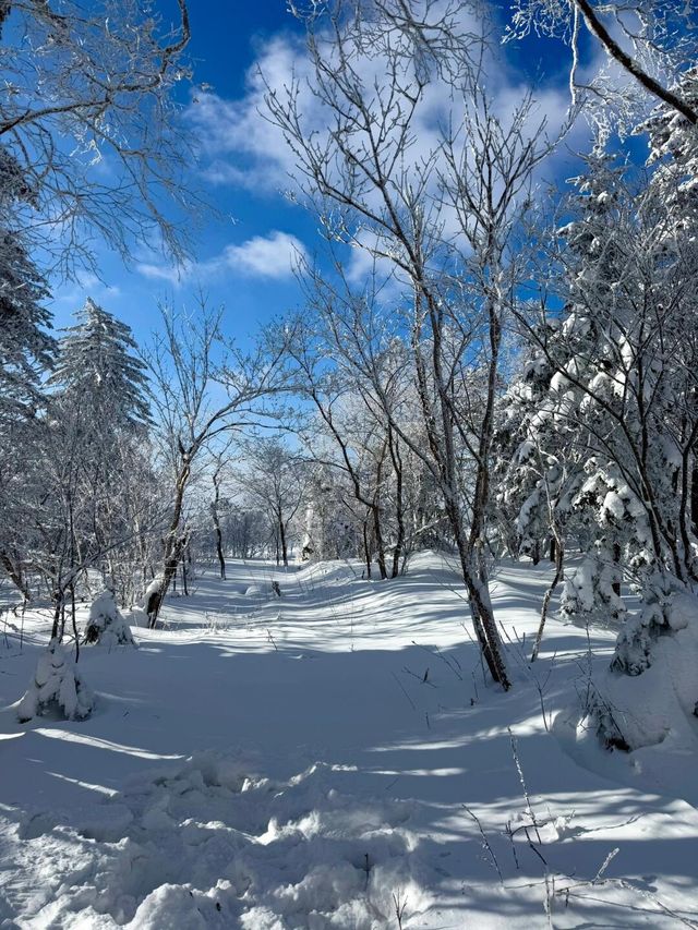 北國的冬｜哈爾濱長白山旅行｜長白山|||