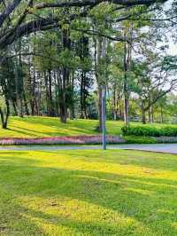 被這個公園治癒…周末遛娃 散步必逛四海公園