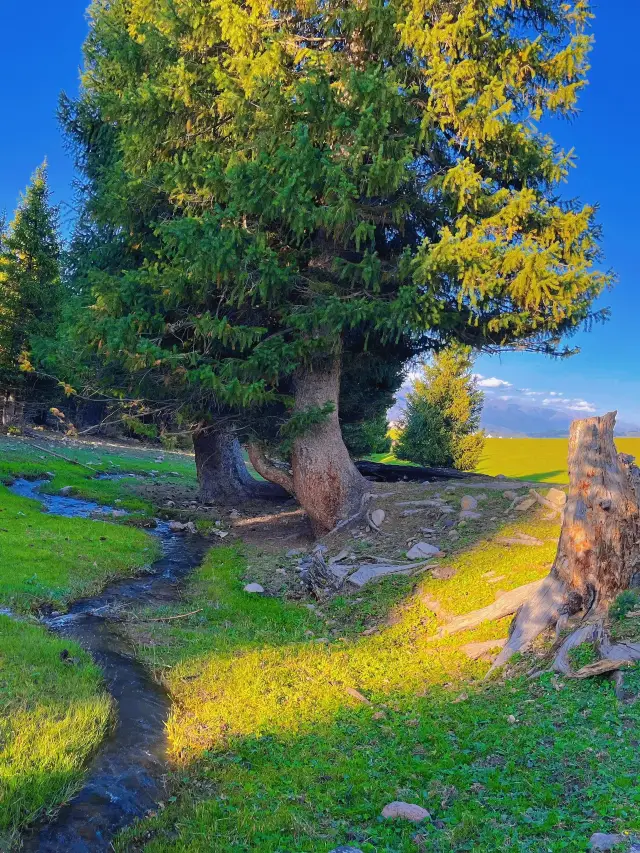 Yili, Xinjiang | A Suitable Choice for Seniors