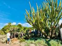 Auckland Botanic Gardens: A Scenic Escape