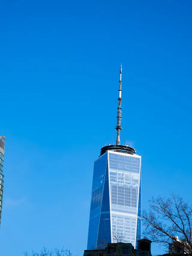 12-Day Lunar New Year Trip to the US