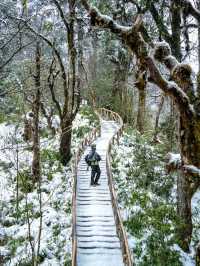 成都出發2h在白雪森林中發現藍冰瀑布