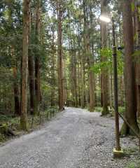 漫步新潟彌彦神社｜邂逅清新雅致的東瀛風情