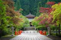 高野山一日遊 | 解鎖小眾寶藏地。