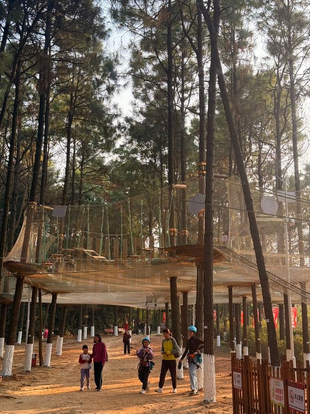 西樵山next level玩飛越叢林看另類風景