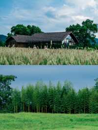 杭州小眾景點‖一日遊打卡避坑攻略
