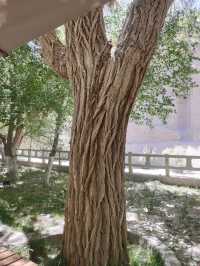 榆林窟、莫高窟，是哪吒和敖丙的關係