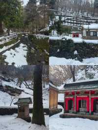 福井：解鎖日本小眾旅行的隱秘角落