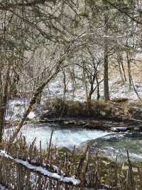 5日冬遊英國 雪景美如畫
