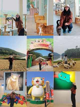 廣東人有自己的貓貓島 含喵率 10000%