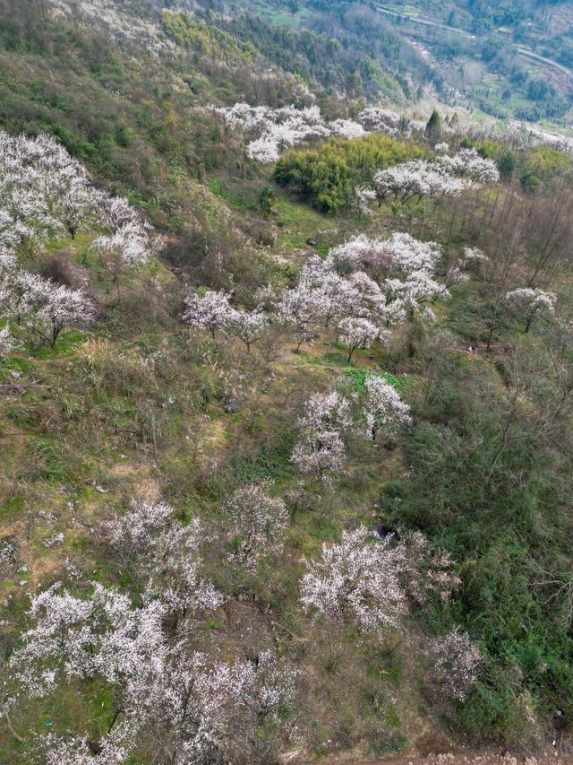 成都周邊遊
