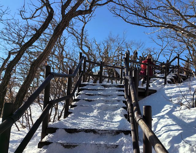 漫步德裕山國立公園｜邂逅韓國絕美自然畫卷