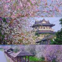 邂逅廣州藝術博物院，擁抱春天的色彩盛宴🌷