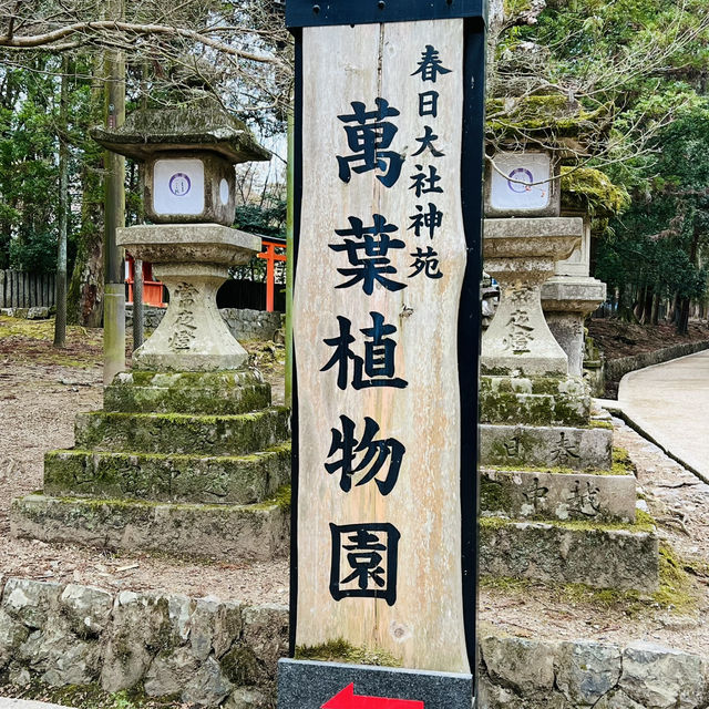 大阪周邊@萬葉植物園