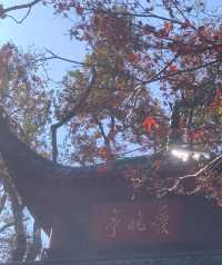三天兩夜長沙站！太好吃了！