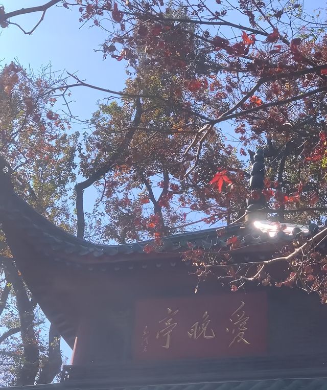 三天兩夜長沙站！太好吃了！