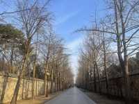 圓明園遺址公園