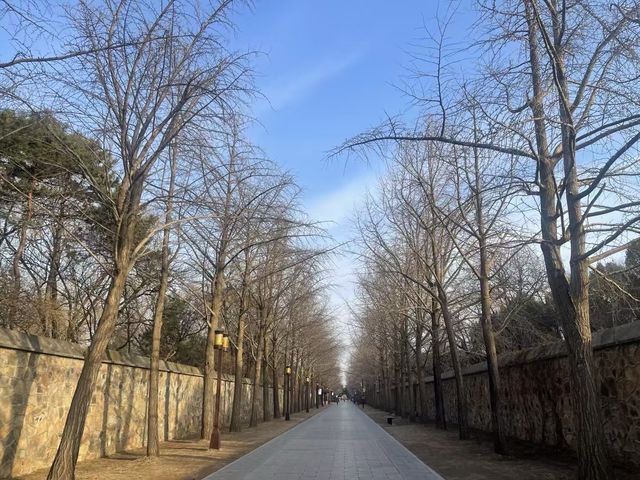 圓明園遺址公園