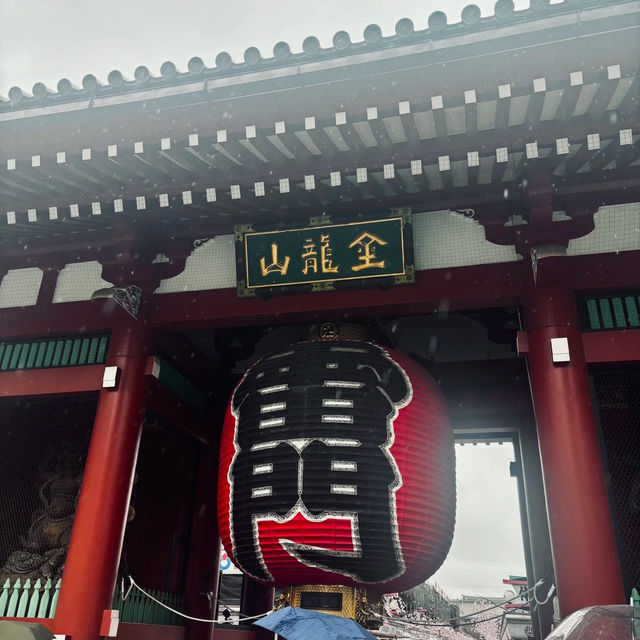 誤入東京小眾仙境|金龍山寶藏攻略🏯