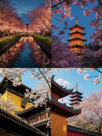 南京的春天是一萬次的春和景明
