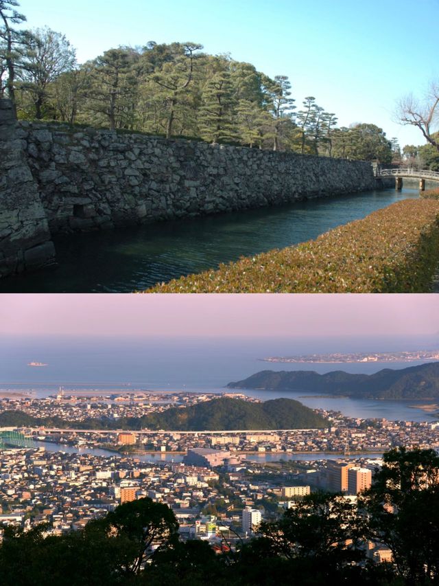 日本德島