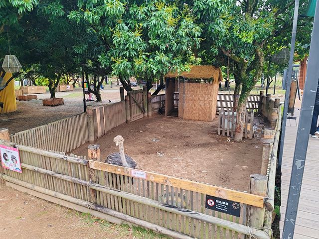 三八婦女節到從化天人山水大地藝術園